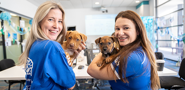 RSPCA Fundraiser Give to Get Them a Home Update with puppies